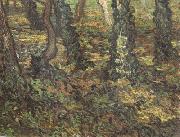 Vincent Van Gogh Tree Trunks with Ivy (nn04) china oil painting artist